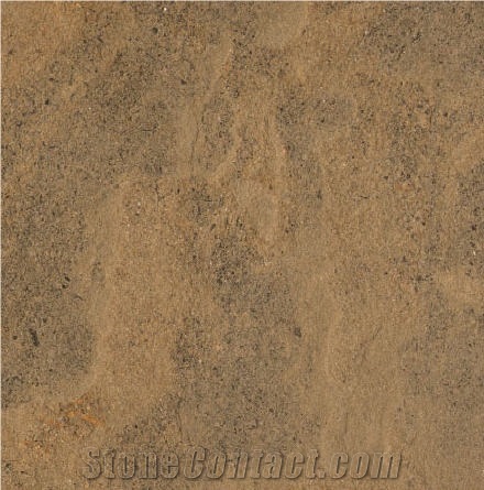 Finkenbach Sandstone importance=