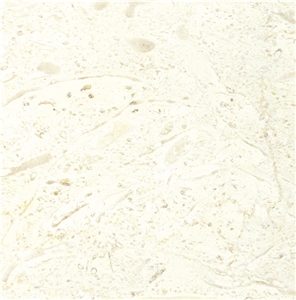 Fletto Limestone