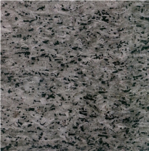 Fogang Blue Granite