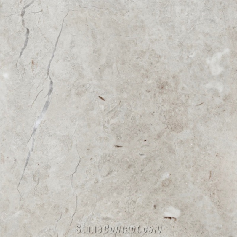Forest Grey Marble importance=