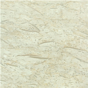 Fossil Beige Limestone