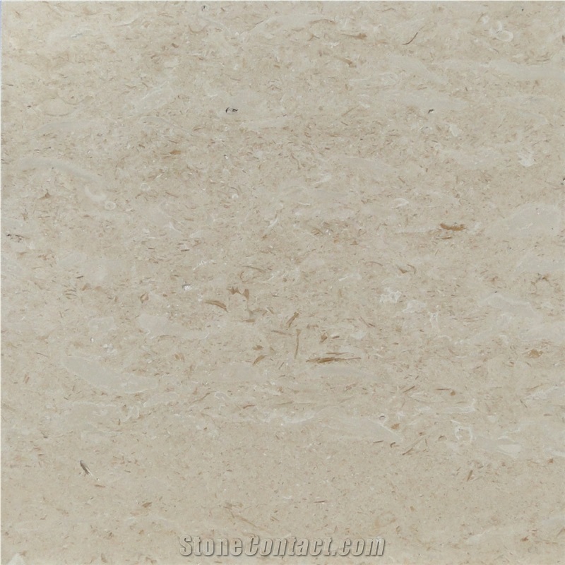 Fossil Beige Marble importance=