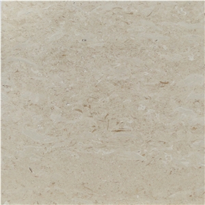 Fossil Beige Marble