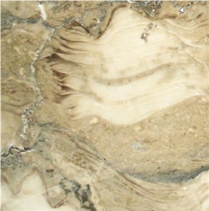 Fossil Beige Marble Tile
