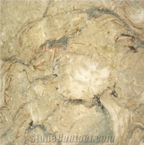 Fossil Beige Marble Tile