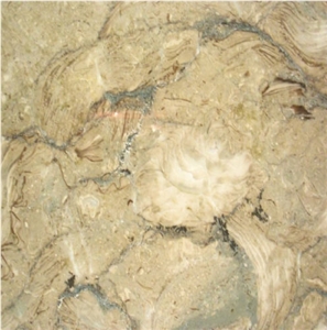 Fossil Beige Marble Tile