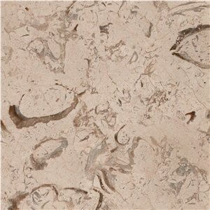 Fossil Beige