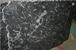 Fossil Black Marble Slab