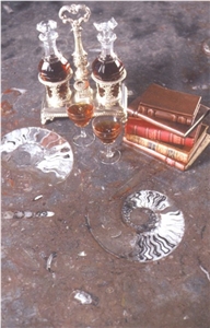 Fossil Brown Marble Finished Product