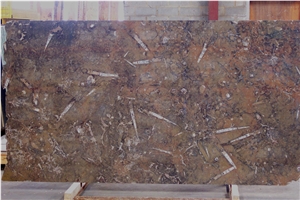 Fossil Brown Marble Slab