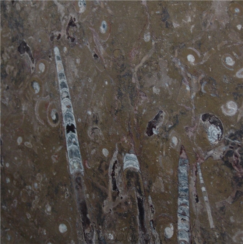 Fossil Brown Marble Tile