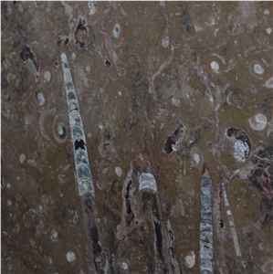 Fossil Brown Marble Tile