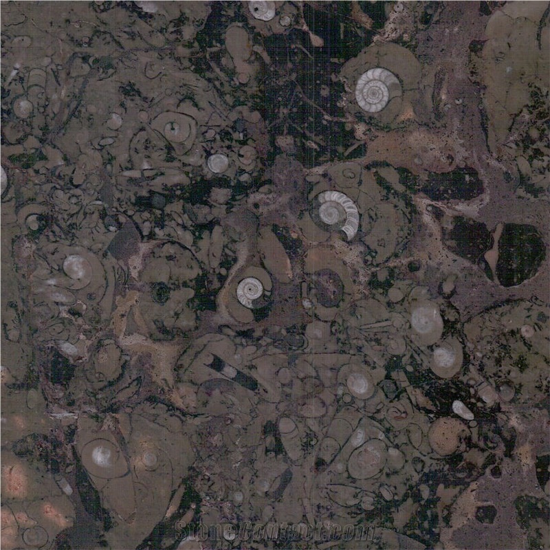 Fossil Brown Marble Tile