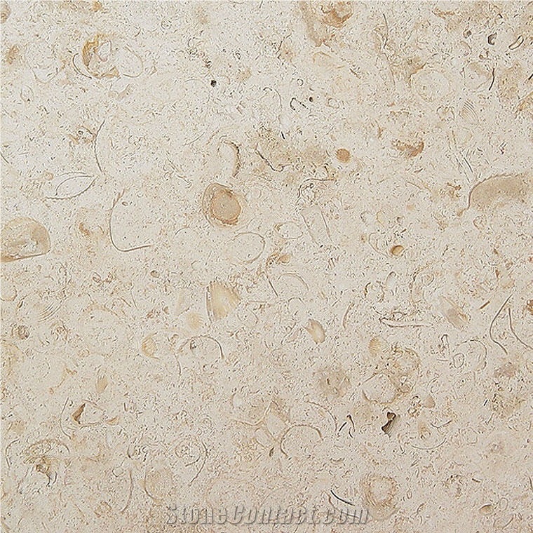 Fossil Cantera importance=