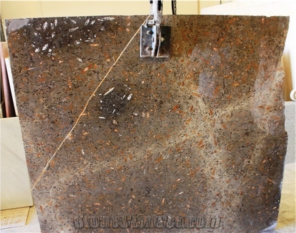 Fossil Grey Limestone Slab