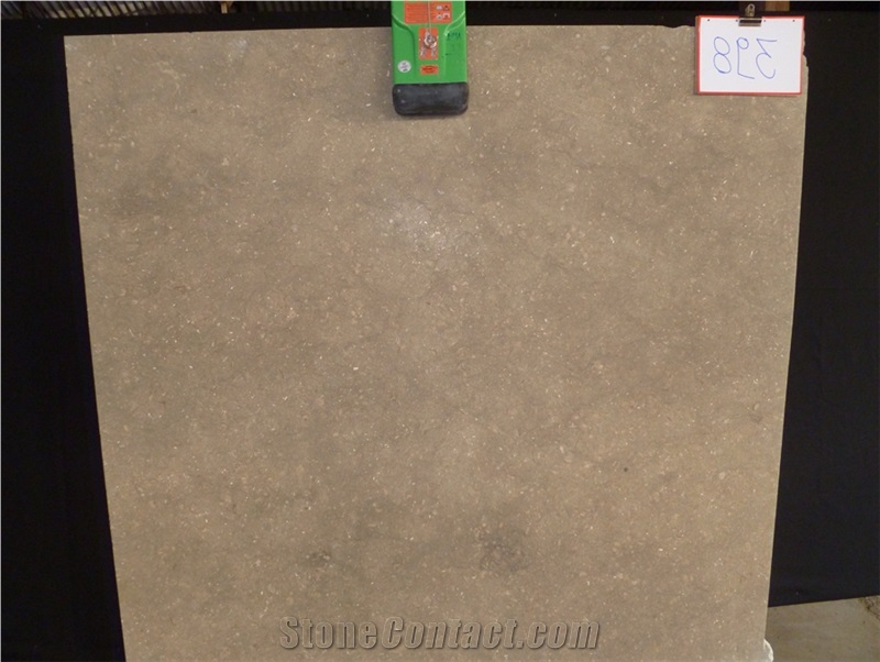 Fossil Grey Limestone Slab