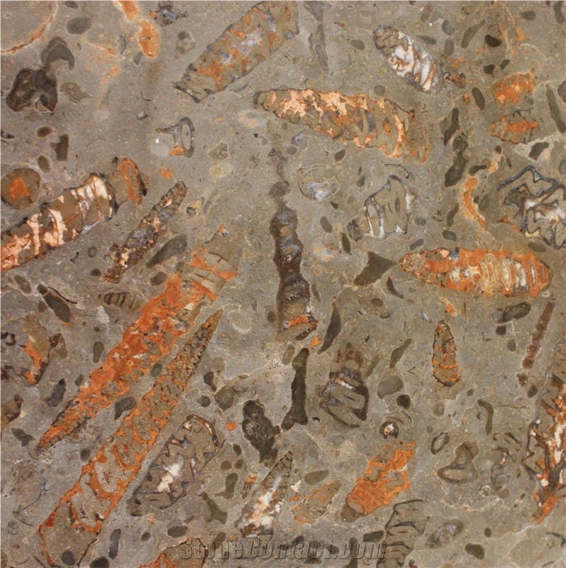 Fossil Grey Limestone importance=