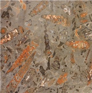 Fossil Grey Limestone