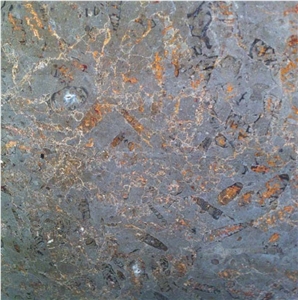Fossil Grey Limestone Tile
