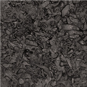Fossil Grey Marble