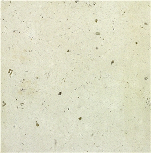 Fossil Limestone