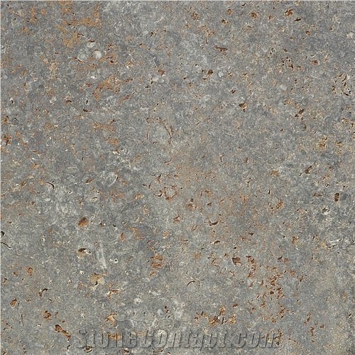 Fossil Melange Muschelkalk importance=