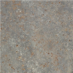 Fossil Melange Muschelkalk