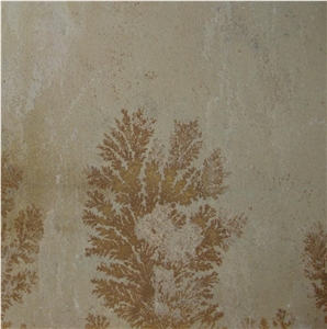 Fossil Mint Sandstone