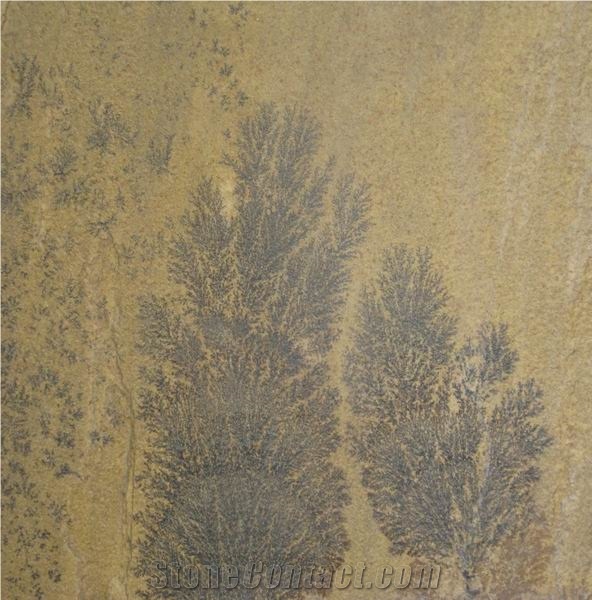 Fossil Sandstone Tile