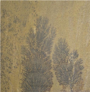 Fossil Sandstone Tile