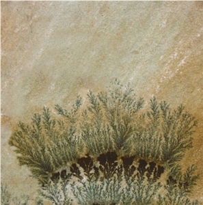 Fossil Sandstone Tile