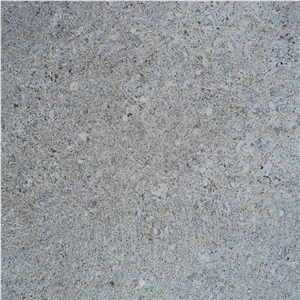 Fossil Smoke Muschelkalk