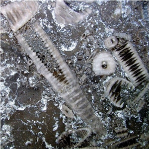 Frosterley Marble Tile