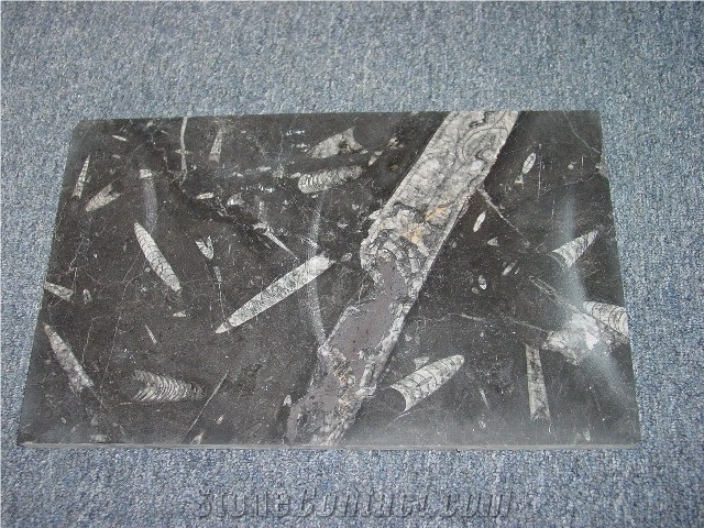 Galaxia Limestone Finished Product