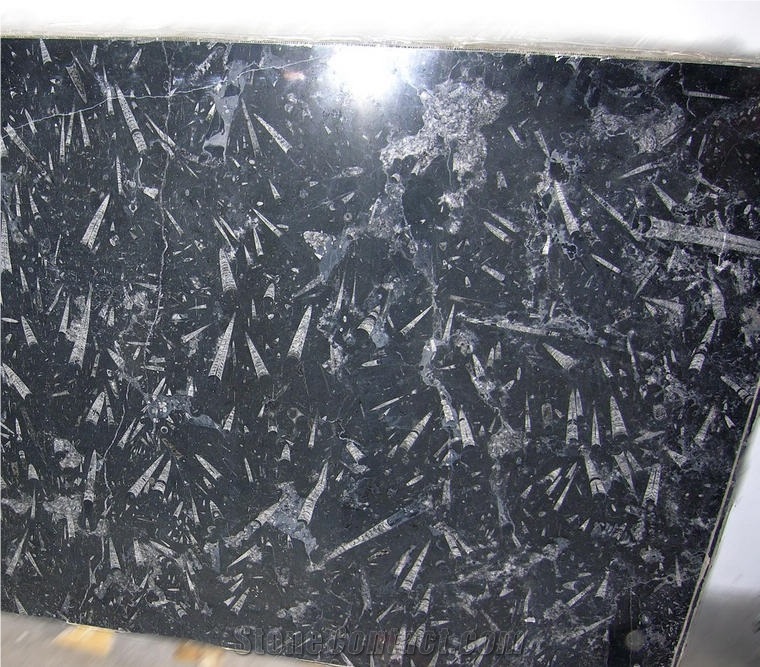 Galaxia Limestone Slab