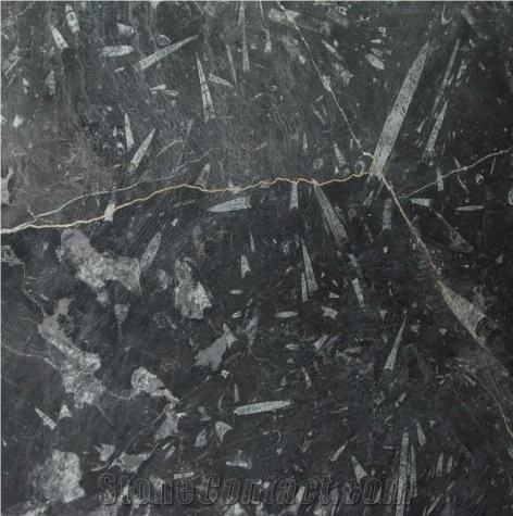 Galaxia Limestone Tile