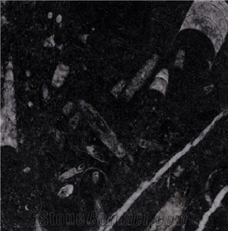 Galaxia Limestone Tile