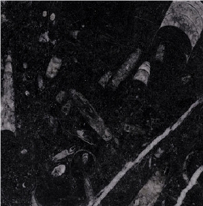 Galaxia Limestone Tile