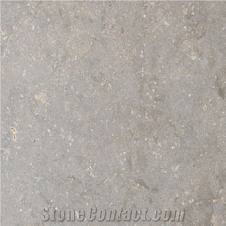 Garden City Gray Limestone  importance=