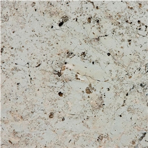 Gasell Limestone