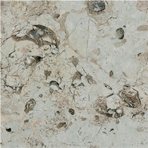 Gasell Limestone Tile
