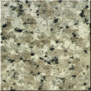 Gastrodia White Granite