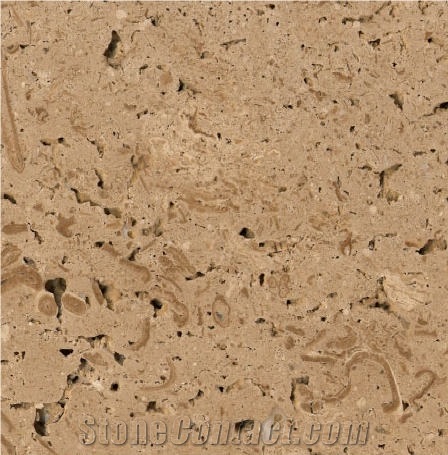 Gauingen Travertine importance=