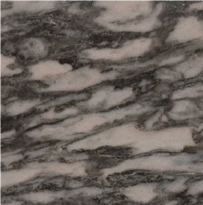 Gazgan Black Marble