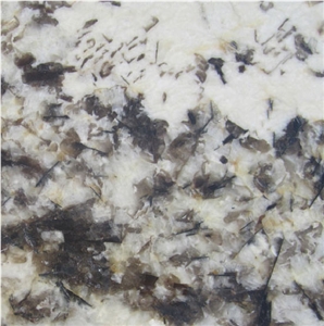 Genesis Tile