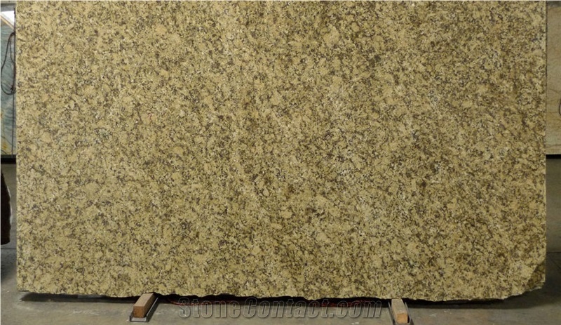 Giallo Farfalla Slab