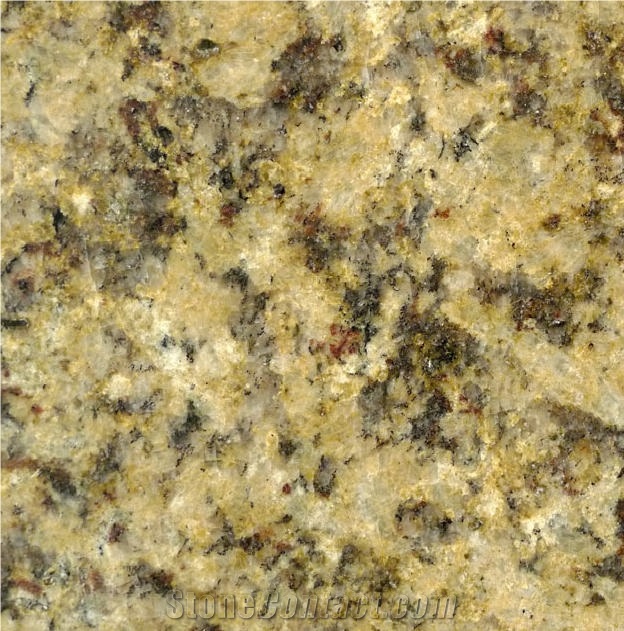 Giallo Farfalla Tile