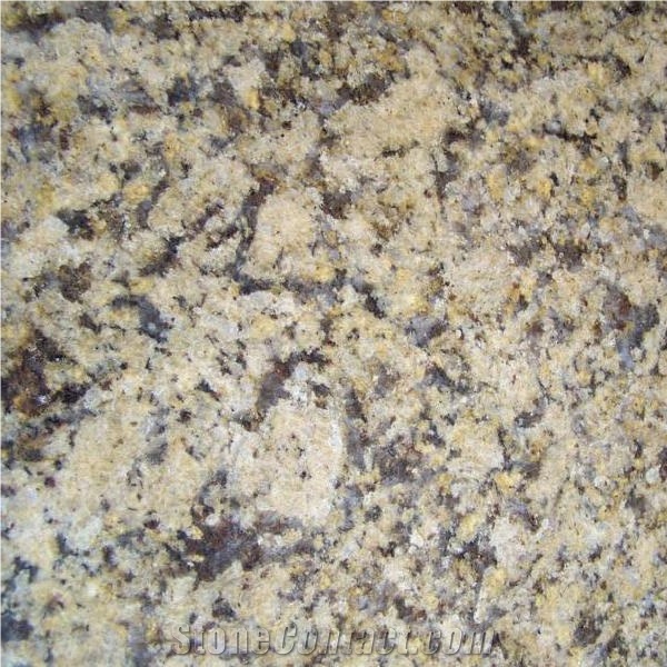 Giallo Farfalla Tile