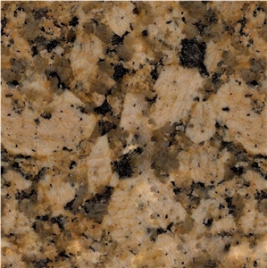 Giallo Fiorito Granite Tile