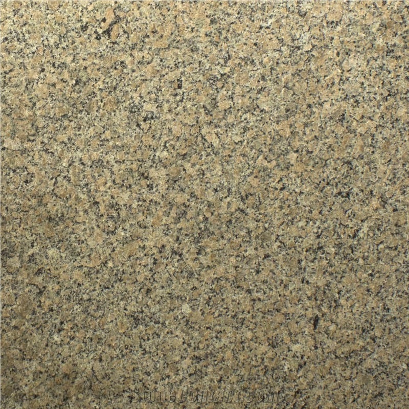 Giallo Latina Granite importance=